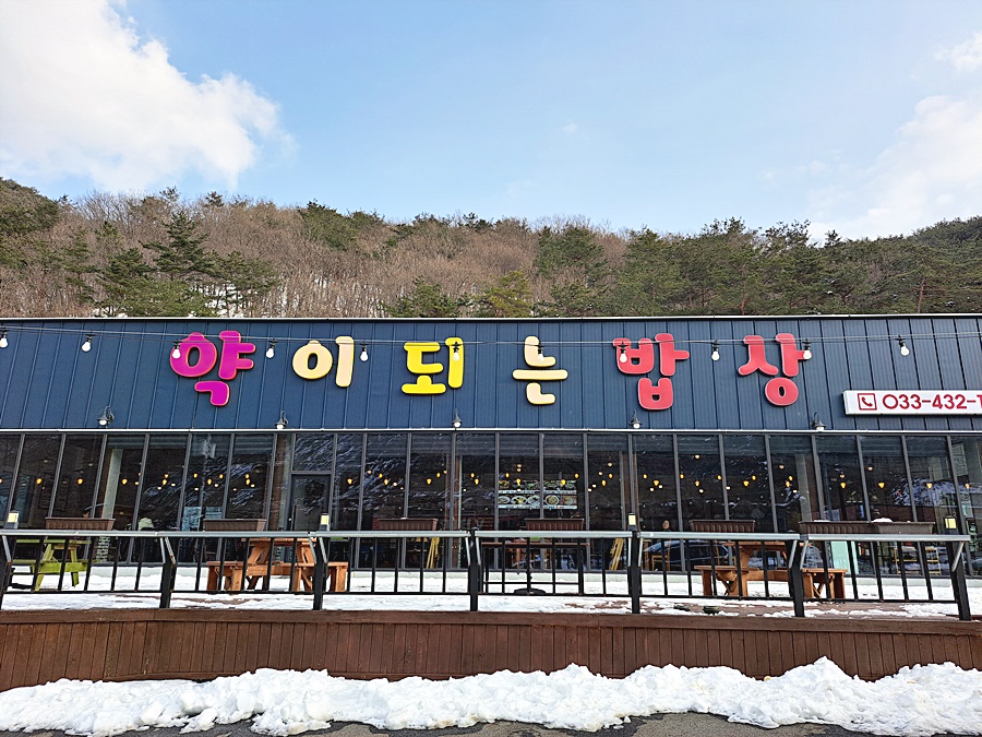 카페이서 이미지