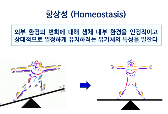 탄탄짐 이미지