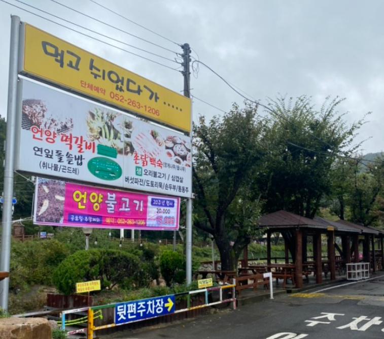 이유집양산부산대 이미지