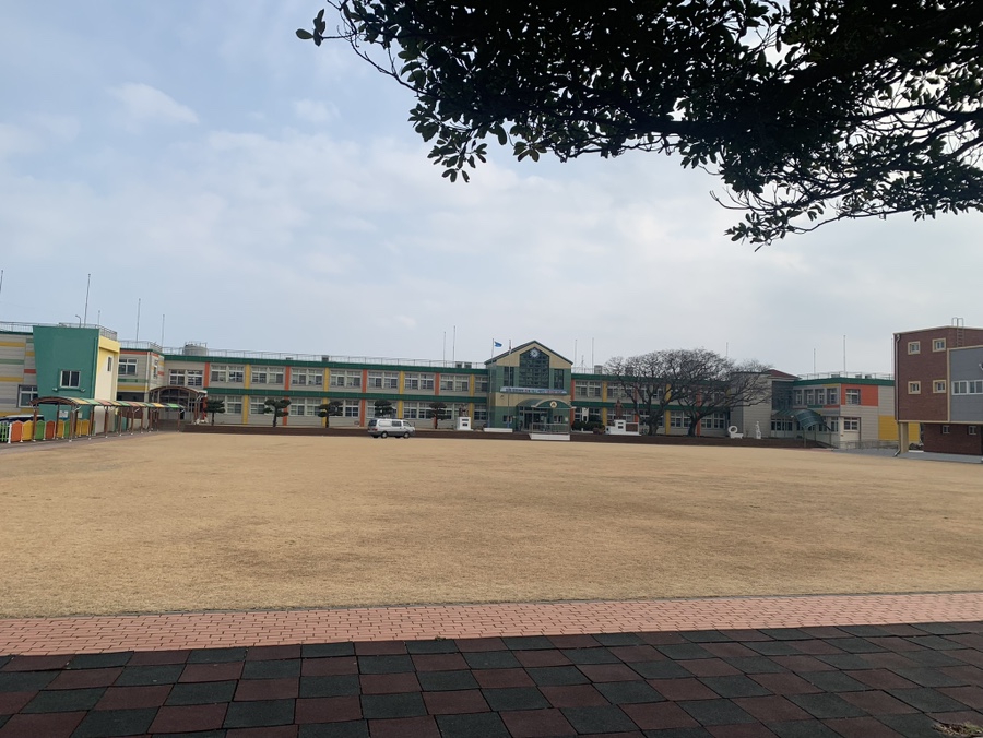 오가닉제주 이미지