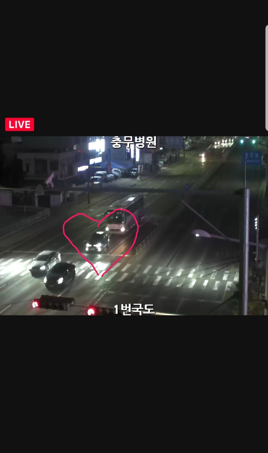 제주생두껍돈 이미지