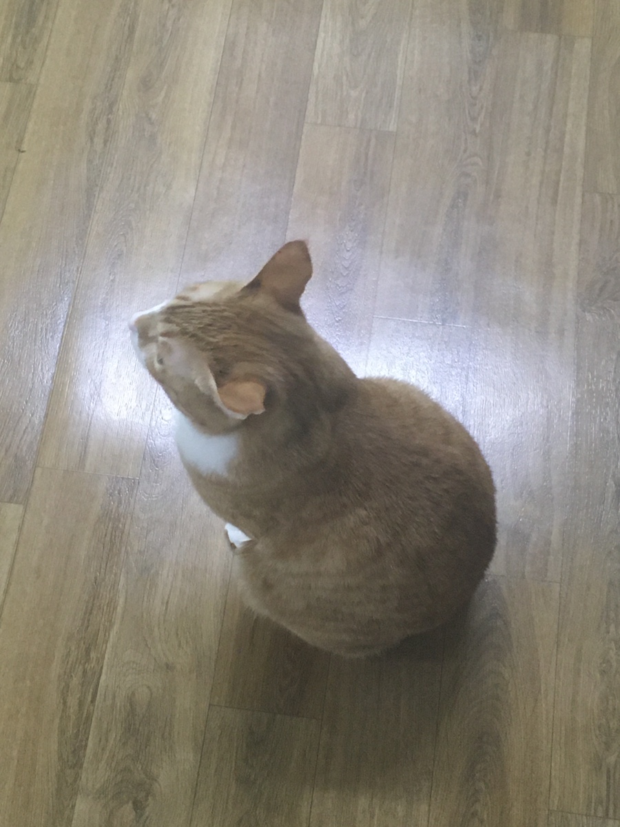 송강젓갈 이미지