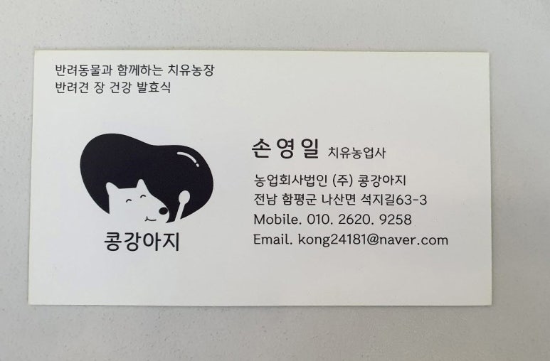 콩컨설팅 이미지