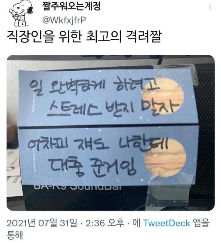 아라몰 이미지