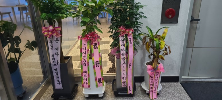 디저트39 경남대점 이미지