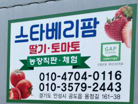 스타베리팜 이미지