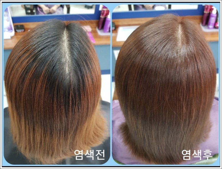 큐케어 이미지