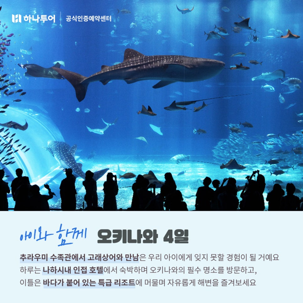 (주)여행아이 이미지
