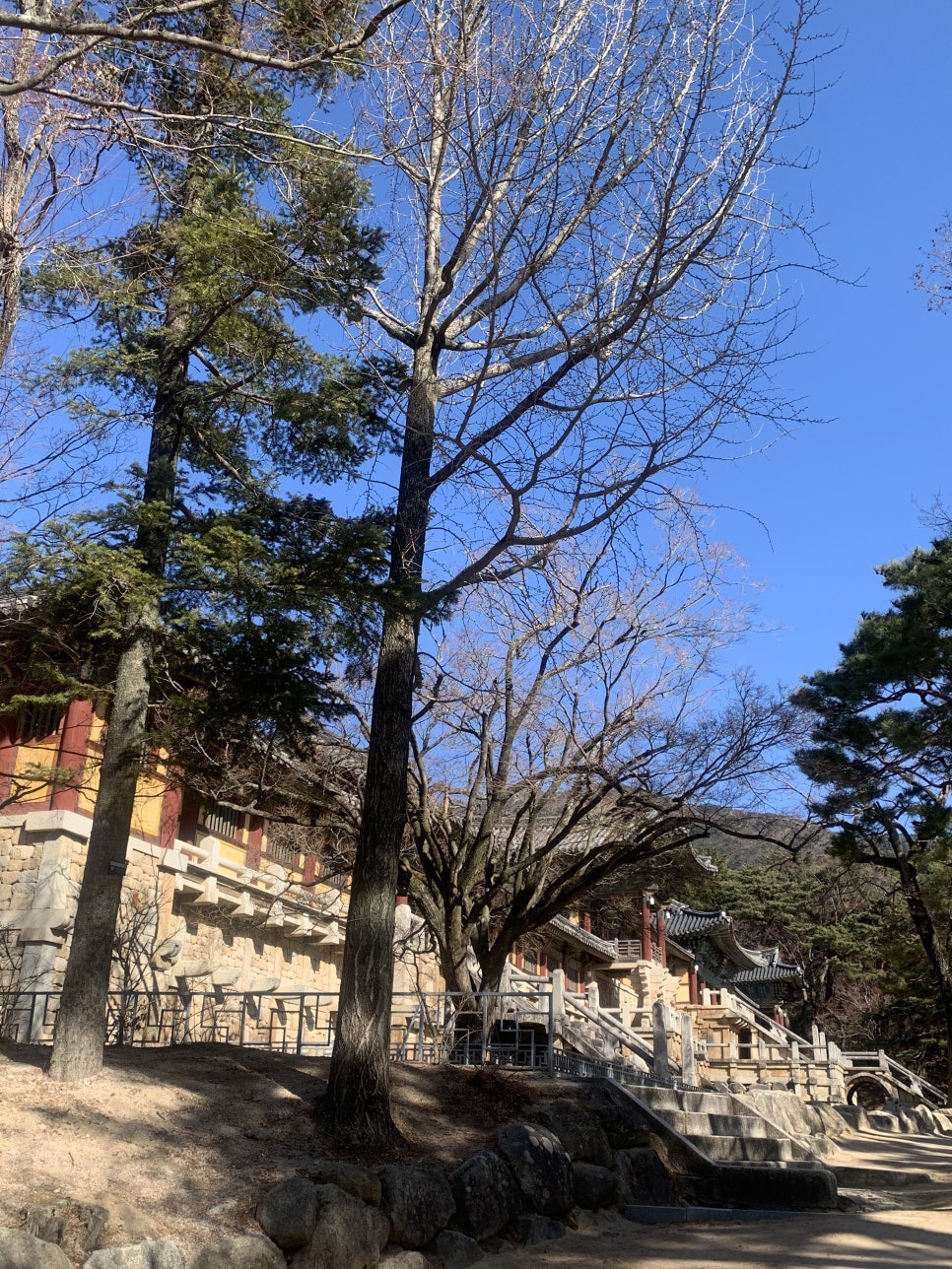 누아르블랑 이미지