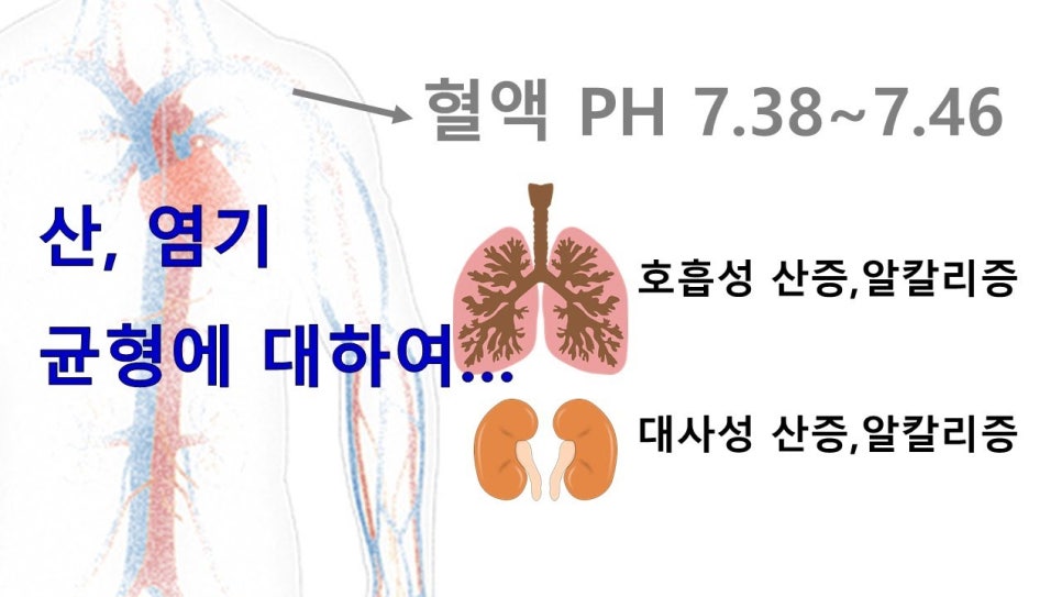 대천PT 이미지