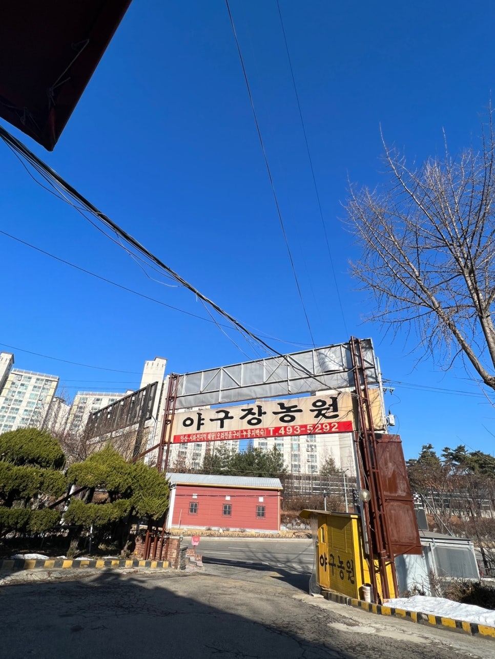 야구장오리농원 이미지