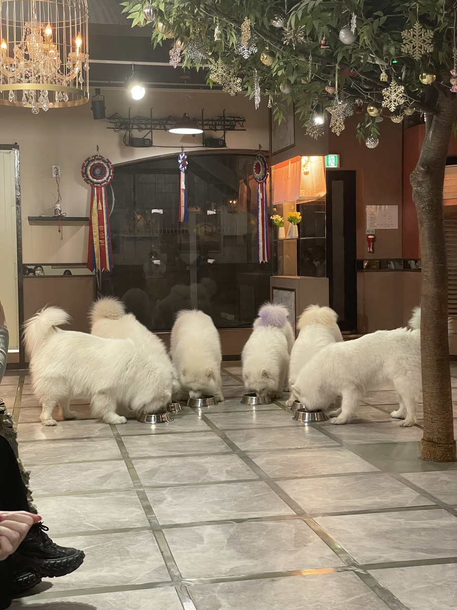 겨울이머무는집 이미지