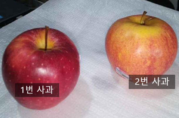 웰리스에어 이미지
