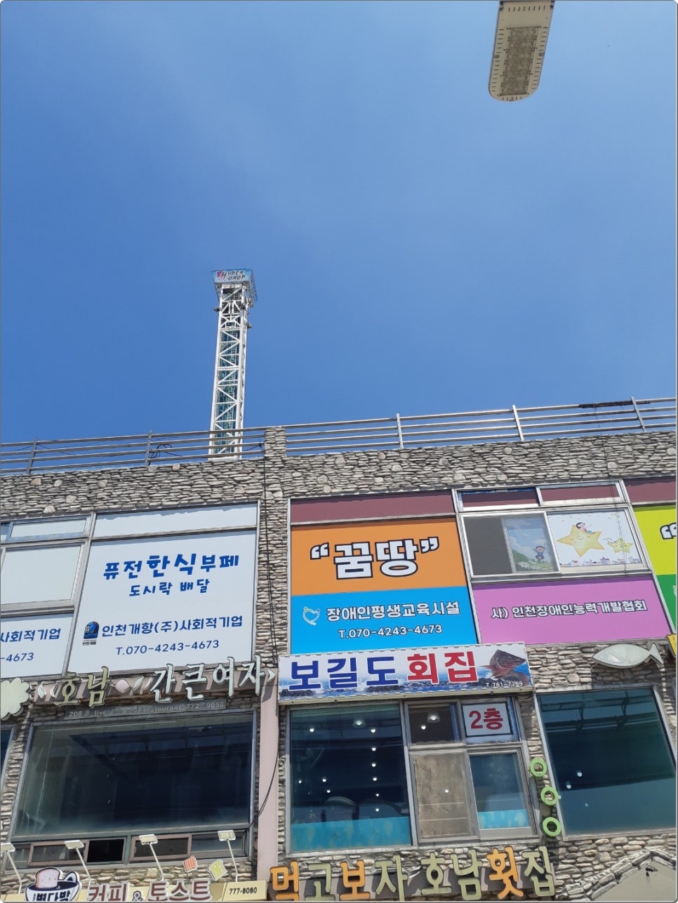 보길도활어회 이미지