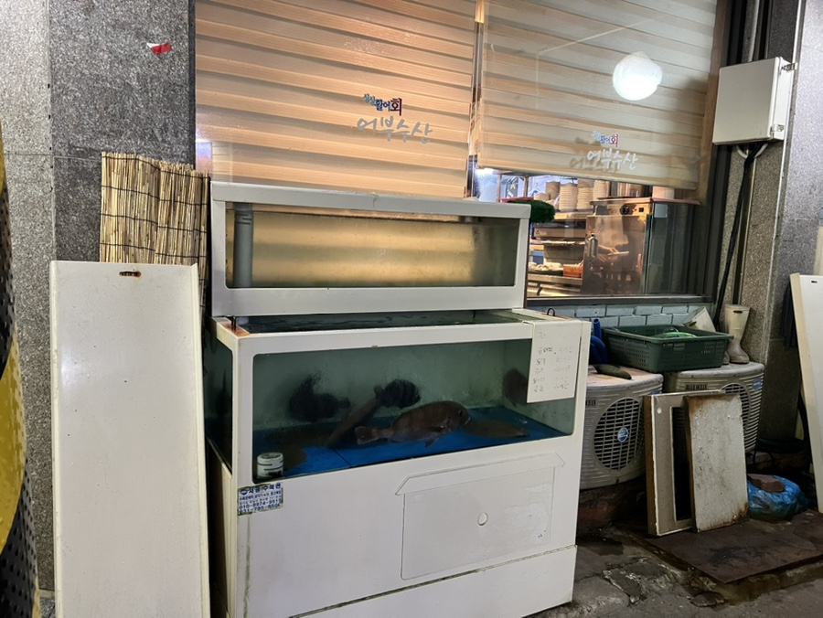 건물주 수산 이미지