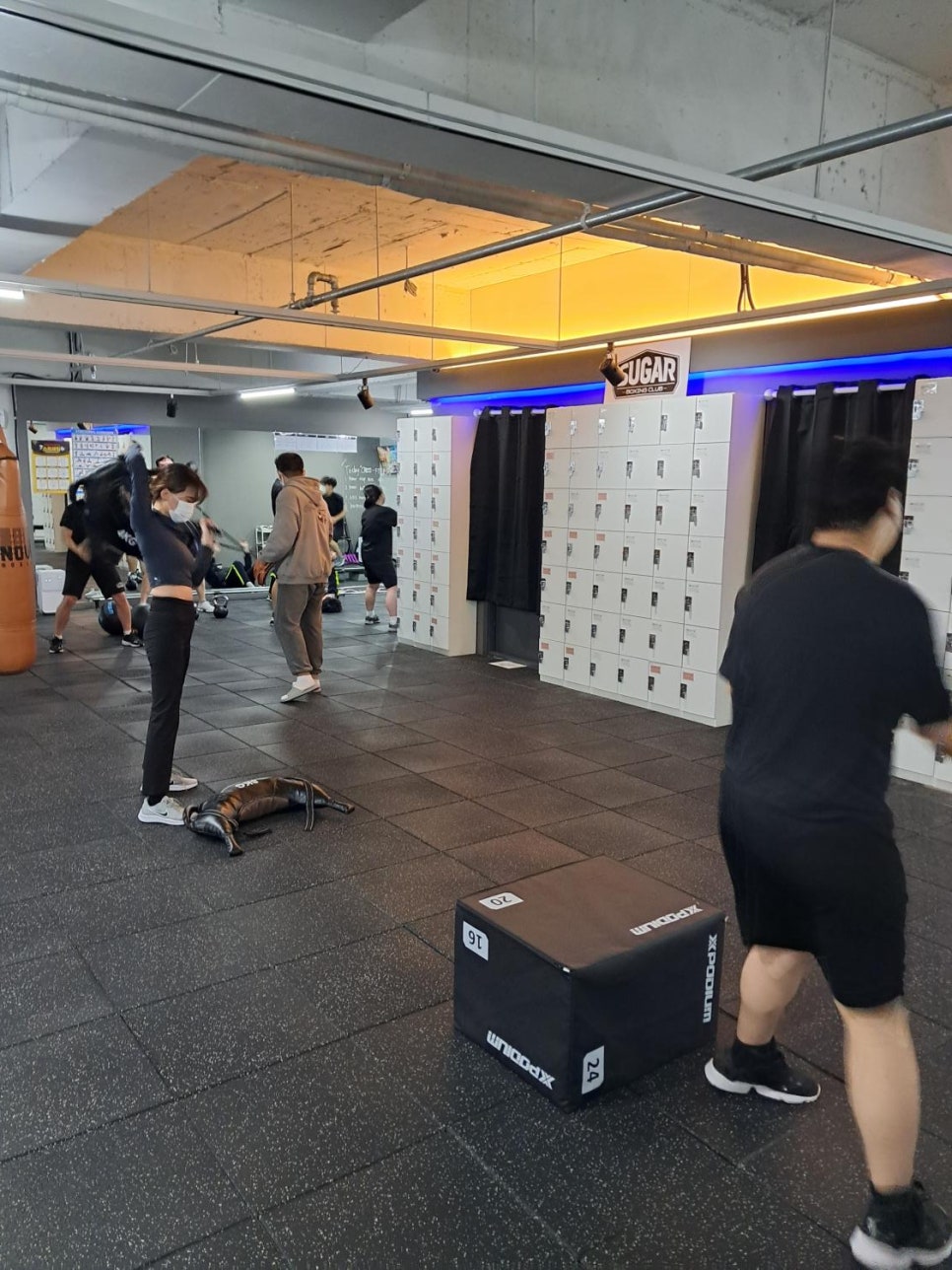 슈가복싱 이미지