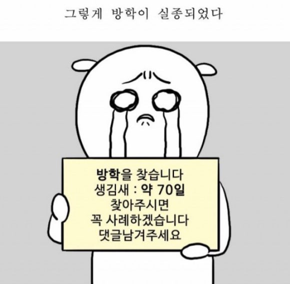 금강산밥m 이미지