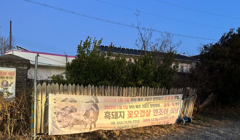 엔조이식당 이미지