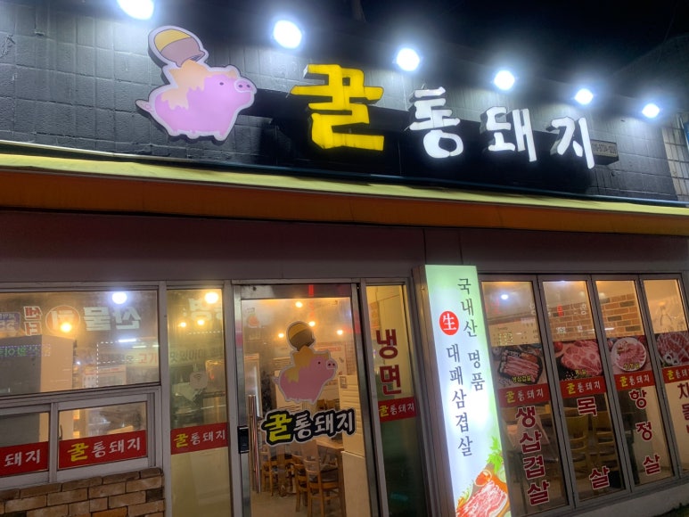 꿀통돼지 이미지