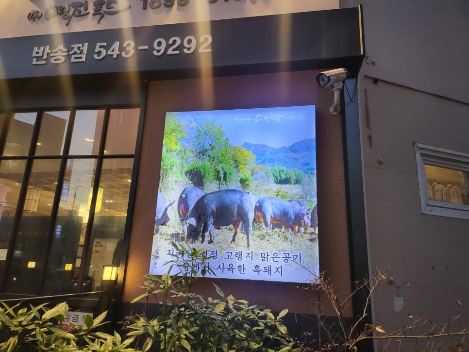 날마다 대박나는집 반송점 이미지