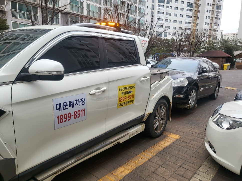 대운건설기계 이미지
