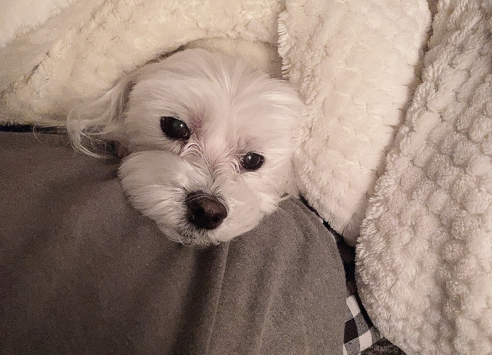 신세계마산바버 이미지
