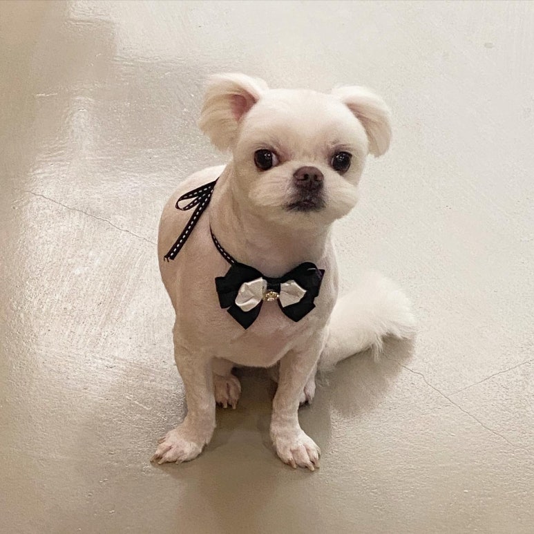 앵두미용실 이미지