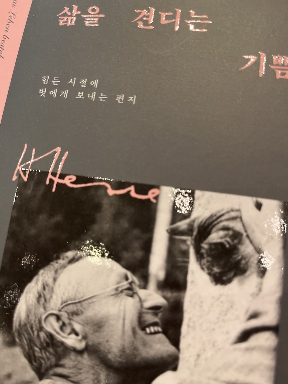 노정형외과의원 이미지