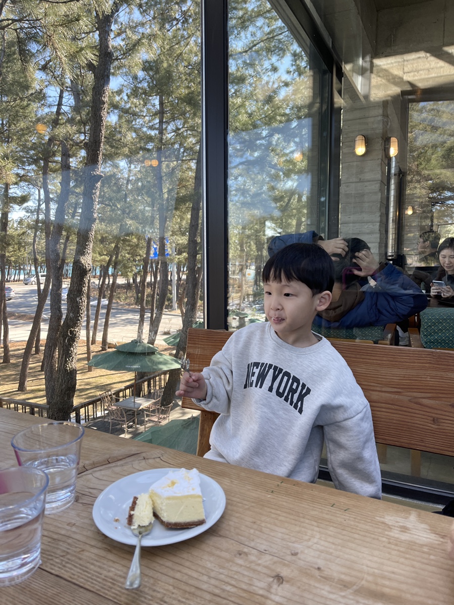 테라파시 이미지