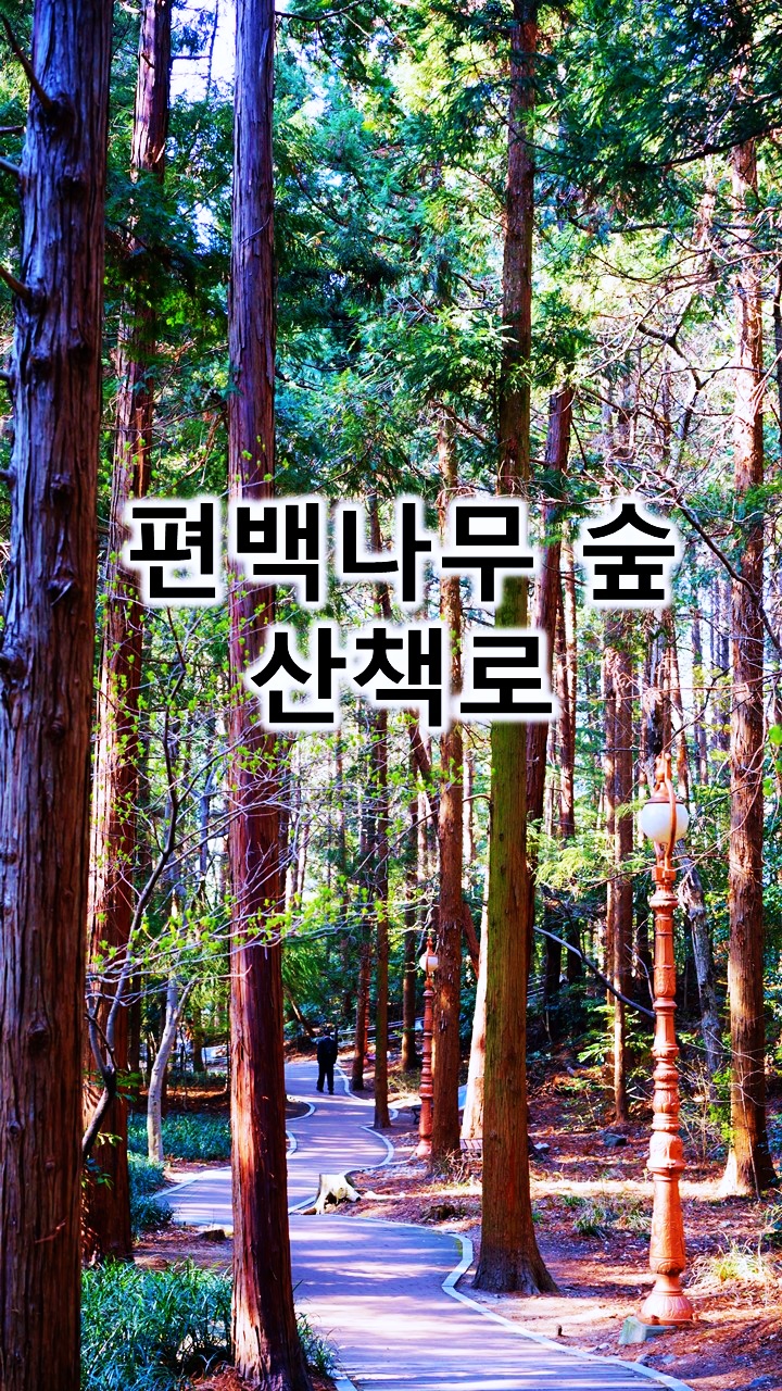 자연나무병원 이미지