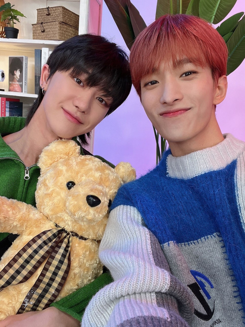 더바이닐 이미지