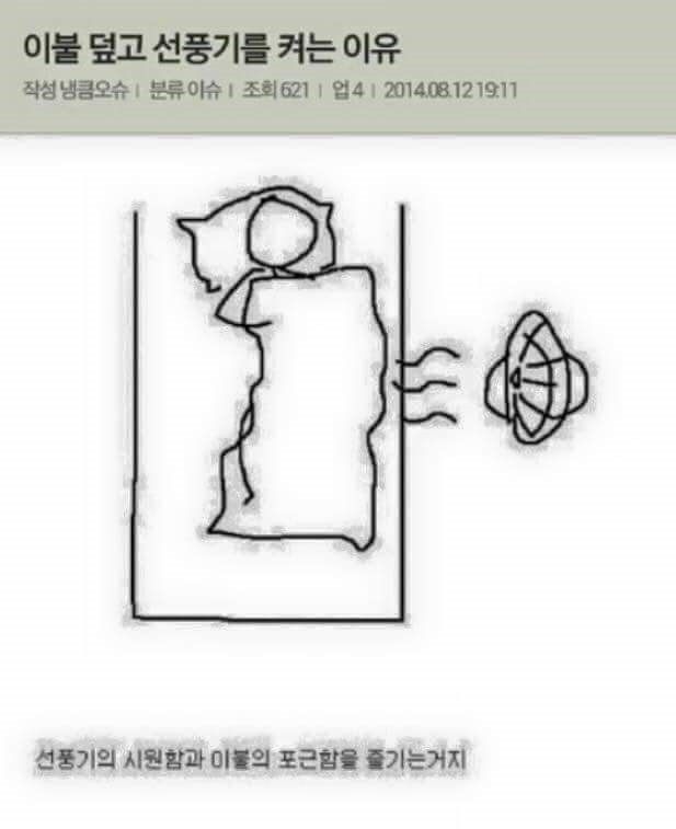 배선생 이미지