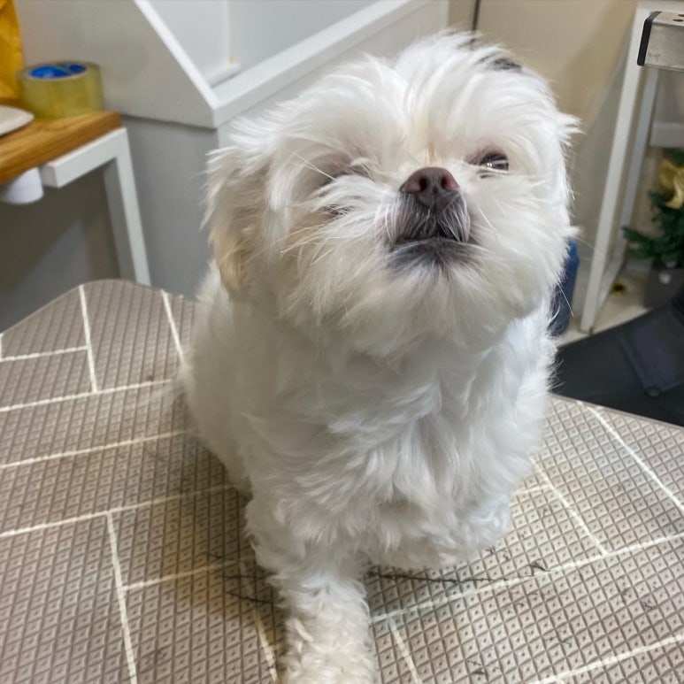 앵두미용실 이미지