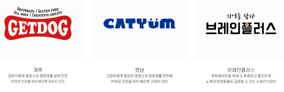 담다컴퍼니주 이미지