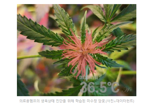 농부심보 이미지