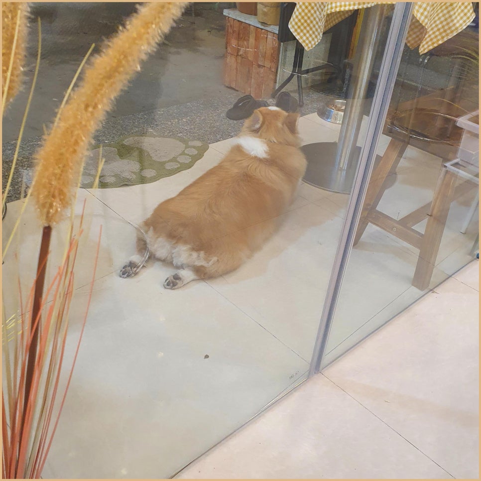 푸딩집 이미지