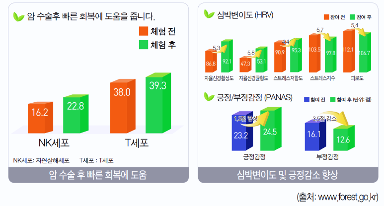 자연나무병원 이미지