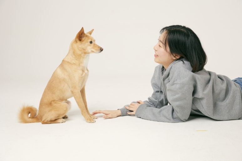 후니필름 이미지