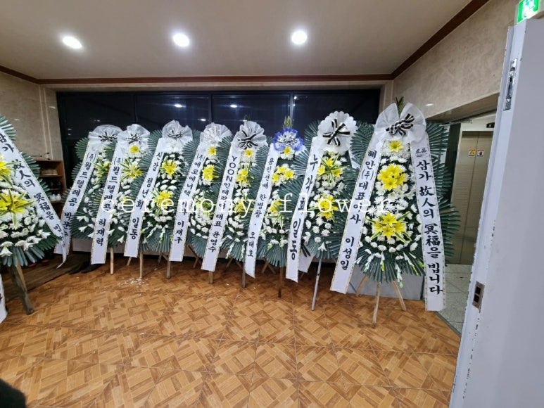 건국플라워 이미지