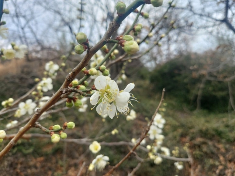 기프트마을 이미지