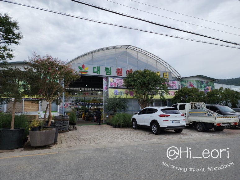 정일조경 이미지