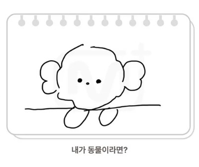 채널케이 이미지