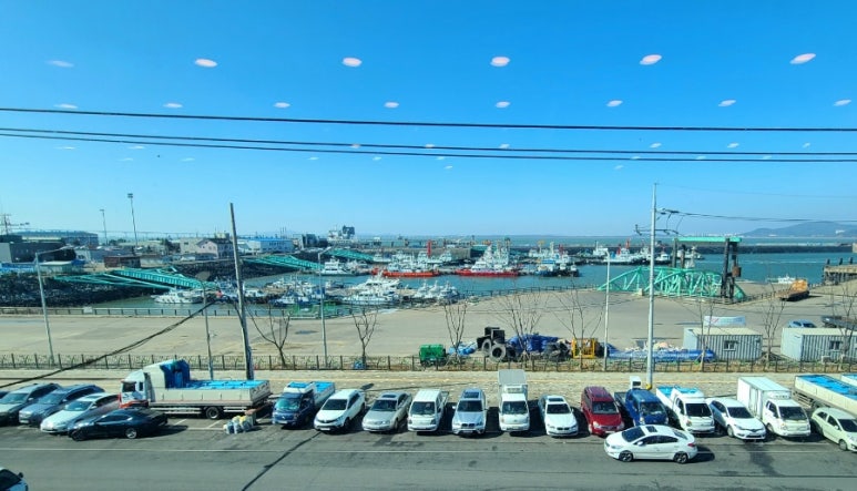 충청도7호 이미지