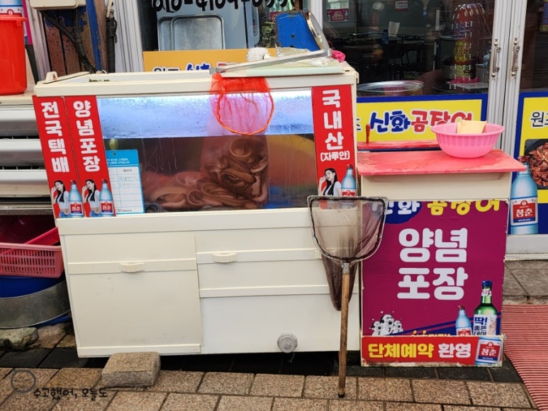 신화곰장어 이미지