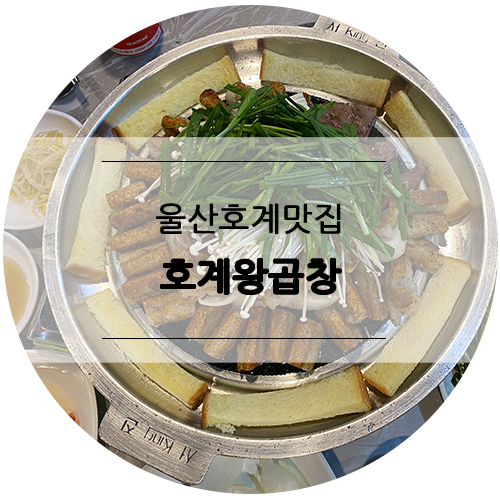 (주)파라투어 이미지