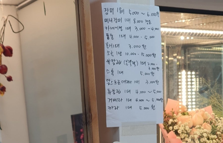 꽃방해바라기 이미지