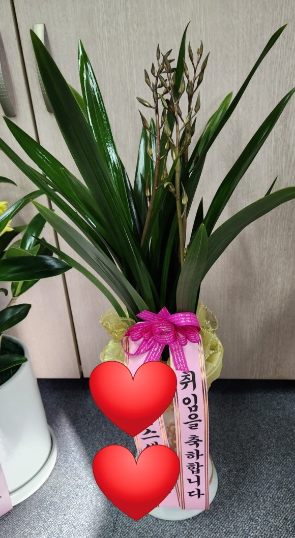 에덴화원 이미지