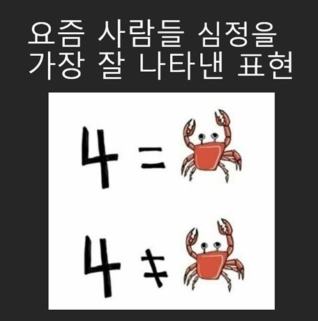 까사코지 이미지