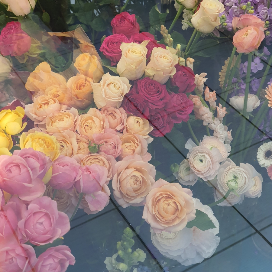 꽃방해바라기 이미지