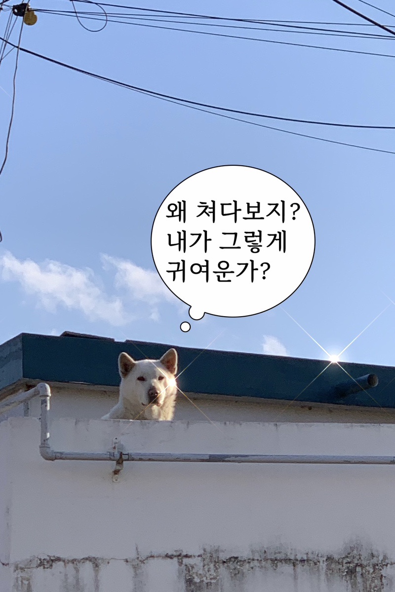 이승윤의 알통떡강정 경주중앙점 이미지